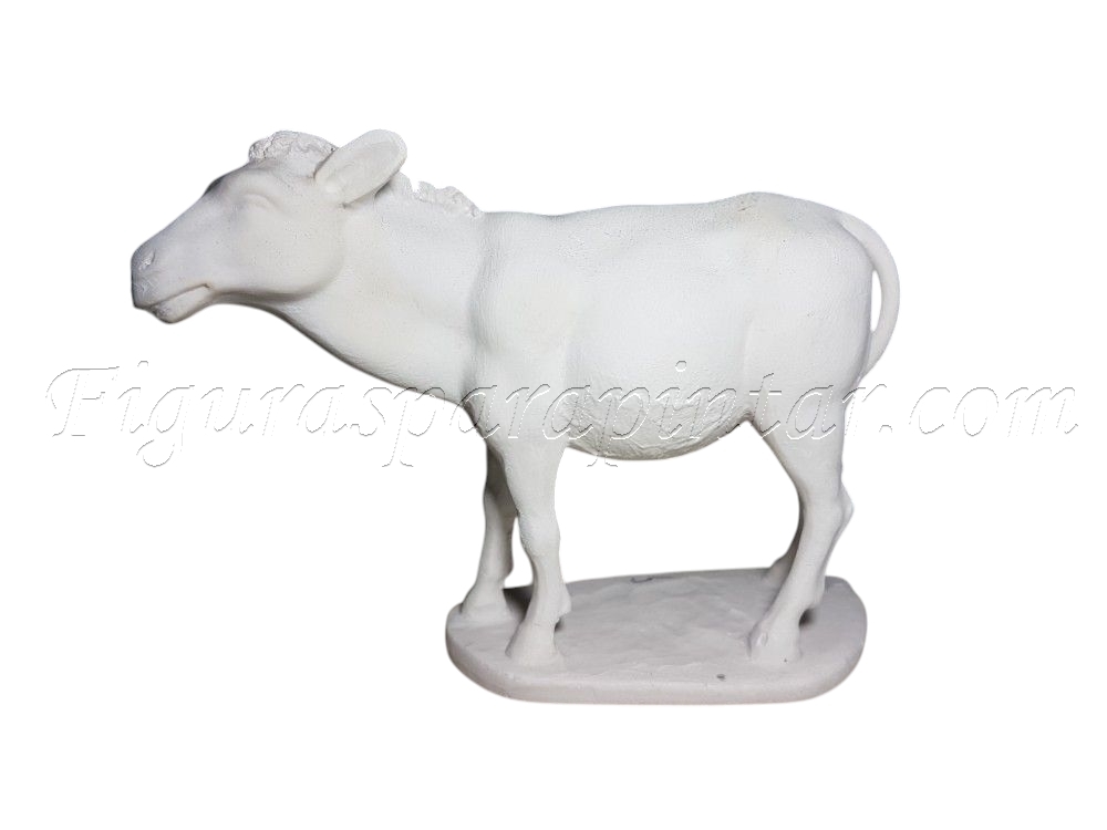 Nacimiento - Imagen 7