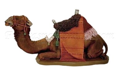 Camello beduino tumbado estilo hebreo