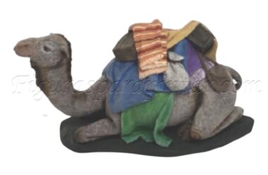 Camello tumbado con carga